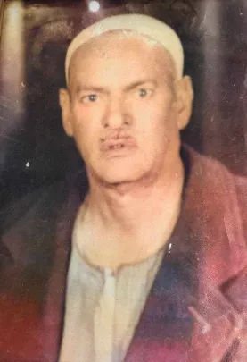 حامد